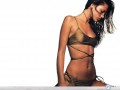 Alessandra Ambrosio wallpapers: Alessandra Ambrosio golden bikini wallpaper