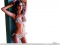 Alessandra Ambrosio standing by the wall wallpaper