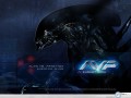 Movie wallpapers: Alien Vs Predator  alien wallpaper