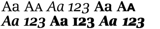Serif fonts A-B: Alinea Roman Volume