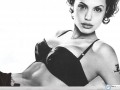Angelina Jolie wallpapers: Angelina Jolie black leather underwear wallpaper