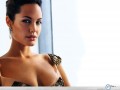 Angelina Jolie wallpapers: Angelina Jolie rich style wallpaper