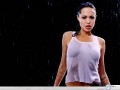Angelina Jolie wallpapers: Angelina Jolie wet shirt wallpaper