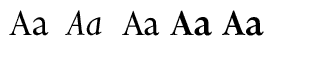 Serif fonts A-B: Aries Volume