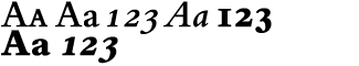 Serif fonts B-C: Bembo 2 Expert Volume