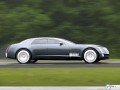 Cadillac wallpapers: Cadillac Sixteen Concept green forest  wallpaper