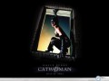 Catwoman wallpapers: Catwoman in window wallpaper