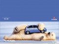 Car wallpapers: Citroen C3 white bear wallpaper