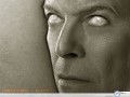 Music wallpapers: David Bowie blind wallpaper