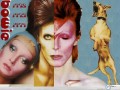 Music wallpapers: David Bowie three wallpaper