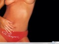 Davinia Taylor red panties wallpaper