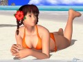 Dead Or Alive Xtreme wallpaper