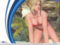 Game wallpapers: Dead Or Alive Xtreme wallpaper