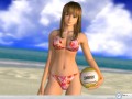 Game wallpapers: Dead Or Alive Xtreme wallpaper