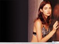 Denise Richards by the wall wallpaper