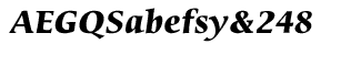 EF Sierra Bold Italic