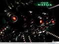 Enter The Matrix wallpaper