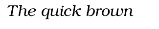 Serif misc fonts: ER-Bukinist 1251 Italic