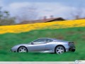 Car wallpapers: Ferrari 360 flower field wallpaper