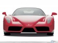 Ferrari wallpapers: Ferrari Enzo front in white wallpaper