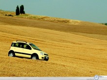 Fiat Panda yellow field wallpaper