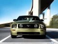 Ford wallpapers: Ford Mustang front bottom wallpaper