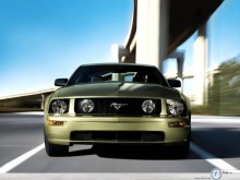 Ford Mustang front bottom wallpaper