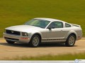 Ford Mustang wallpapers: Ford Mustang green grass wallpaper
