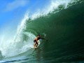 Surfing wallpapers: Green wave wallpaper
