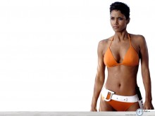 Halle Berry ready for combat wallpaper
