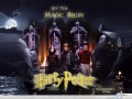 Harry Potter wallpapers: Harry Potter team wallpaper