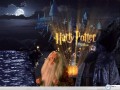 Harry Potter wallpapers: Harry Potter wiseman wallpaper