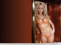 Jennifer Ellison wallpapers: Jennifer Ellison in lingerie big boops wallpaper