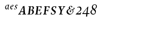 Serif fonts G-L: JY Decennie Expert Italic