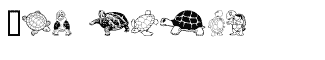 Keyas Turtles