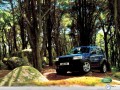 Land Rover wallpapers: Land Rover Freelander in forest rain wallpaper