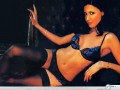 Lisa Snowdon wallpapers: Lisa Snowdon crazy in lingerie wallpaper