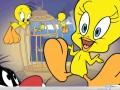 Movie wallpapers: Looney Tunes tweety wallpaper