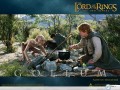 Lord Of The Ring cooking wallpaper
