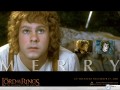 Movie wallpapers: Lord Of The Ring merry wallpaper
