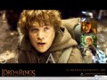 Lord Of The Ring wallpapers: Lord Of The Ring sam wallpaper