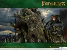 Lord Of The Ring treebeard and boy  wallpaper