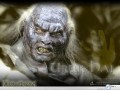 Movie wallpapers: Lord Of The Ring uruk hai wallpaper