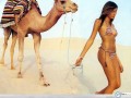 Lujan Fernandez wallpapers: Lujan Fernandez camel sand wallpaper