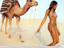 Lujan Fernandez camel sand wallpaper