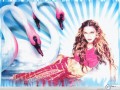 Music wallpapers: Madonna swan wallpaper