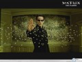 Movie wallpapers: Matrix bullet proof wallpaper
