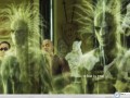 Movie wallpapers: Matrix ghosts wallpaper
