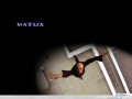 Movie wallpapers: Matrix morpheus wallpaper
