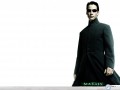 Movie wallpapers: Matrix neo wallpaper